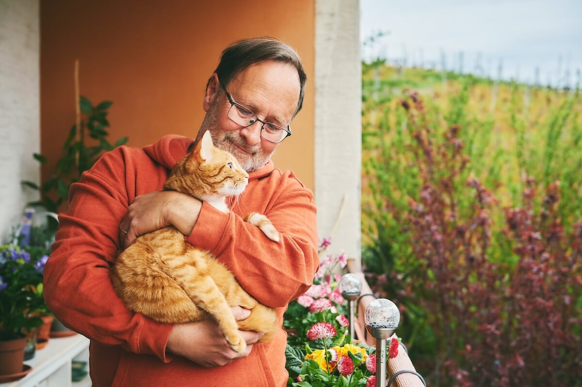 Health benefits of animal interactions: Senior with a cat